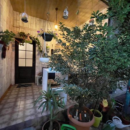 Mr Guest House Tbilisi ภายนอก รูปภาพ